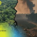 Kelas Public Speaking Gratis Bersama Indonesia Foundation & KMPLHK RANITA UIN Jakarta