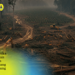 Panjat Dinding Jadi Media Pelatihan Utama Tim Vertical Rescue di Ranita